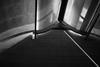 Kimbell Art Museum by Louis Kahn_c_Phil Coffey 2