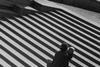 The search for the new view: Alexander Rodchenko, Stairs, 1930.