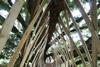 Jerry Tate Architects' treehouse for Dartmoor Arts Week