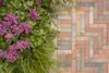 Tobermore Artro Heather, Bracken, Slate, Carbon & Autumn_The Green Quarter, London 17
