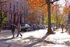BrooklynWillowSt