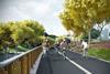 Mecanoo's Chinese cycling route