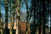 Studio Downie’s centre for the Cass Sculpture Foundation nestles discreetly among the artworks dotted around its woodland site