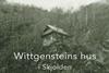 Wittgenstein-heftet Sider kopi