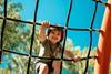 shutterstock_2168170717