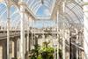 Royal Botanic Garden Edinburgh Palm Houses 5
