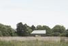 The village hall stands on the edge of a wild-flower meadow and its massing and scale reflect its typology.
