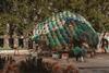 05_SAAR_The Pangolin Shield