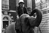Alvin Boyarsky mounted an elephant to celebrate the revival of the AA Carnival