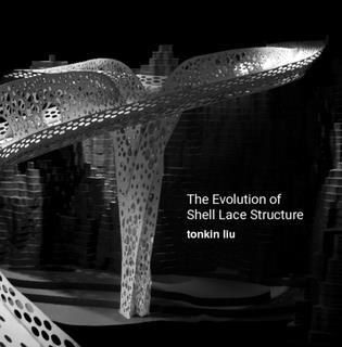 Building Lace Book Club review: The Evolution of Shell Lace Structure | Review ...