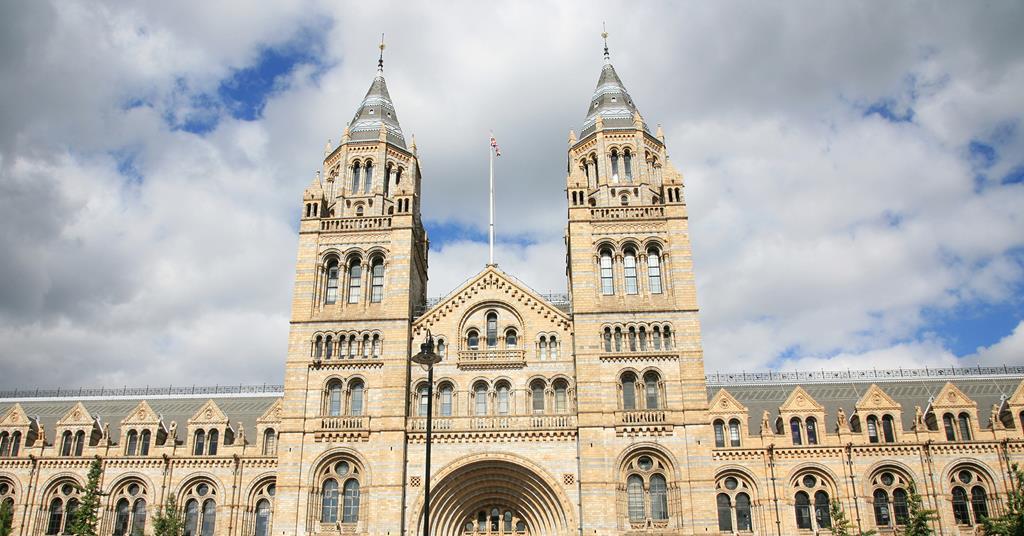Five in race for Natural History Museum job News Building Design