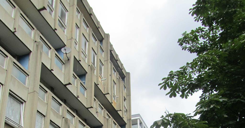 carbuncle-cup-camellia-house-blashill-court-poplar-by-ahr