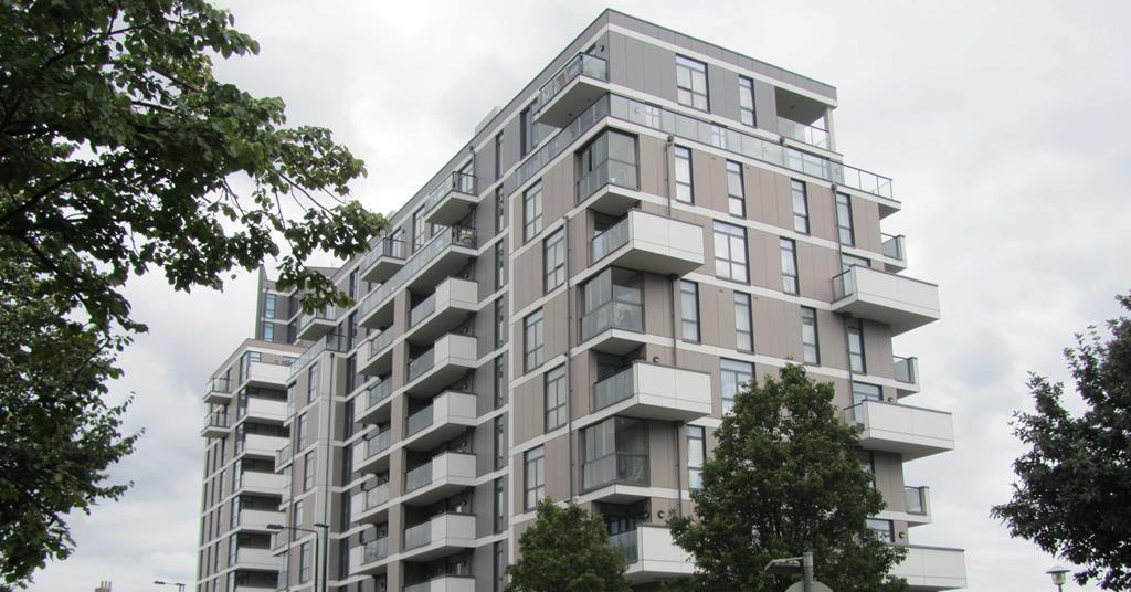 carbuncle-cup-camellia-house-blashill-court-poplar-by-ahr