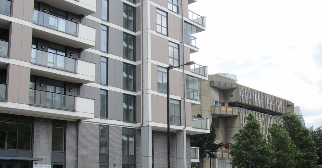 carbuncle-cup-camellia-house-blashill-court-poplar-by-ahr
