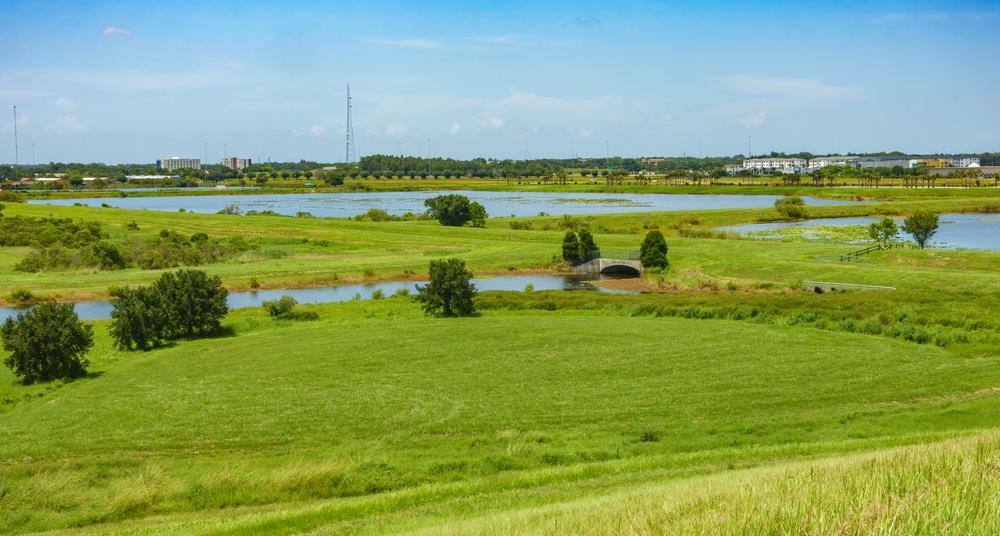 Planning departments not ready for biodiversity net gain rules