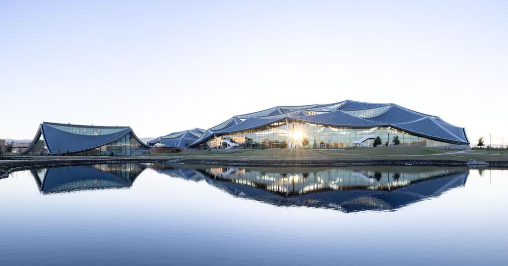 366 Java Google Building A temple to post-covid working culture: designing Google’s global ...