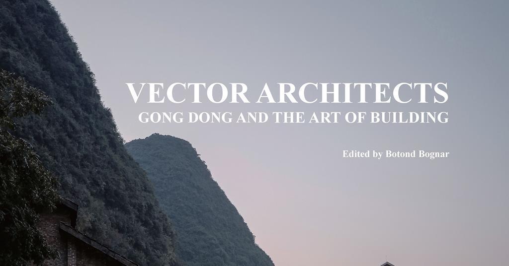 Vector Architects: Gong Dong and the Art of Building