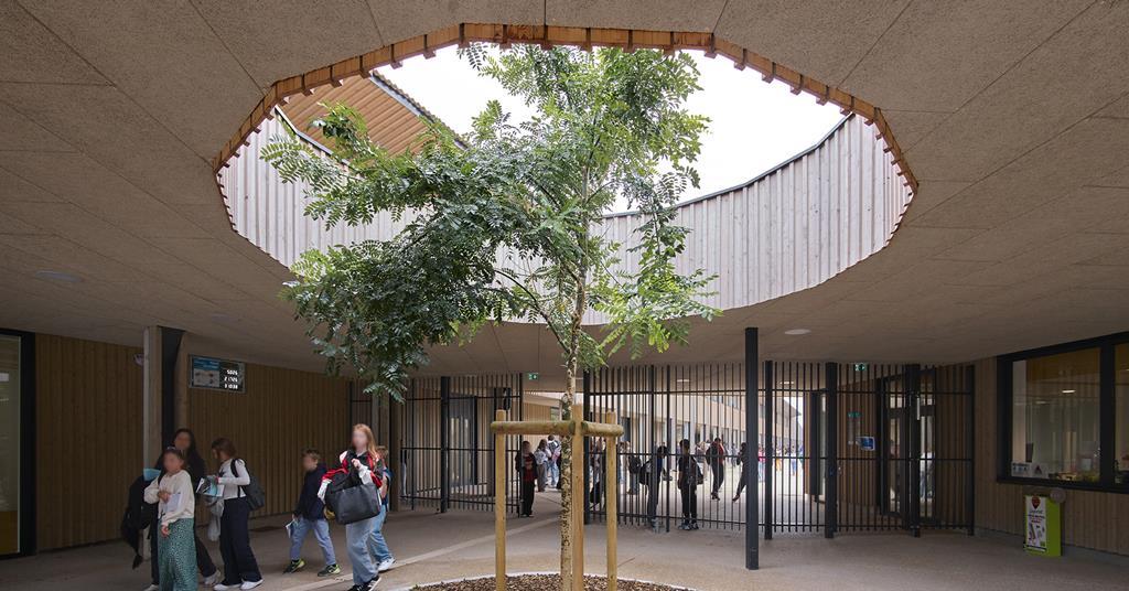 French lessons: learning about timber construction – and dreaming big – from Thomas Coldefy