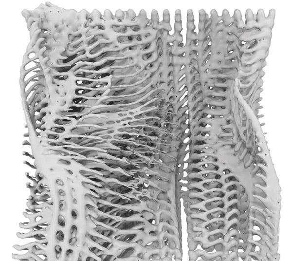 Architecture Student Shows 2012 The Bartlett School Of Architecture Features Building Design Architecture Student Shows 2012 The Bartlett School Of Architecture Features Building Design