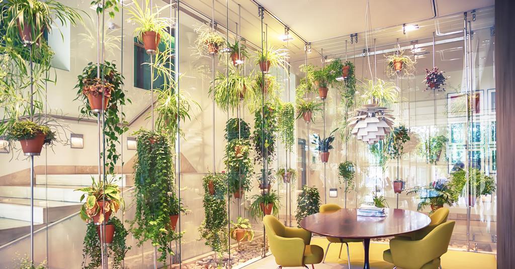 Interior designers must take a leaf out of architects' biophilic books ...