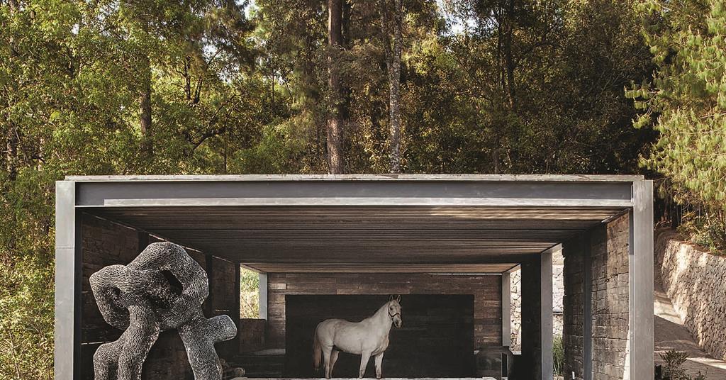 What happens when architects design homes for animals | Features ...