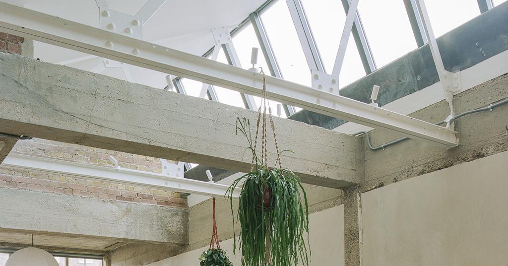 Toxinabsorbing clay plasters by Clayworks Features Building Design