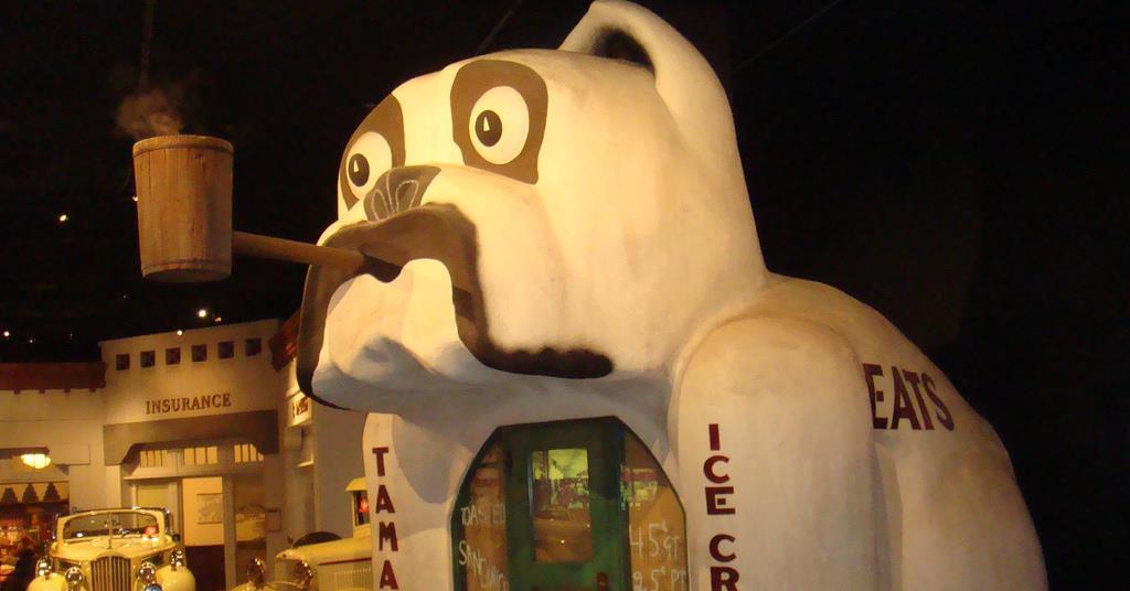 Dog buildings Features Building Design