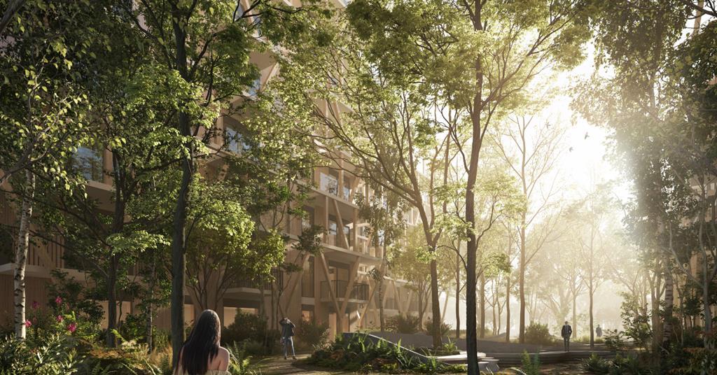 Urban Agency unveils treehouse-inspired Dublin housing scheme | News ...