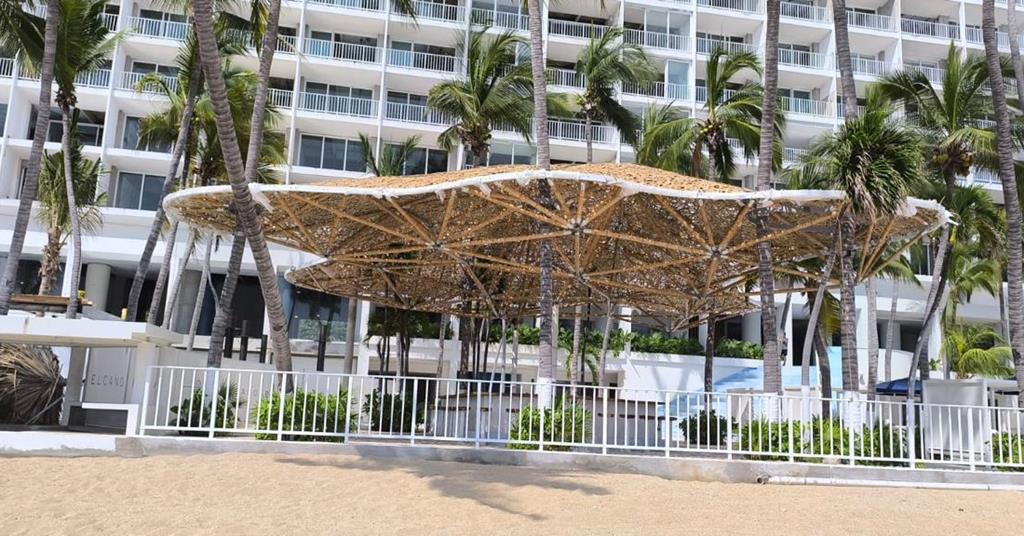 Construction Design Risk Poignant Pangolin Shield installation looks backwards to colonial era ...