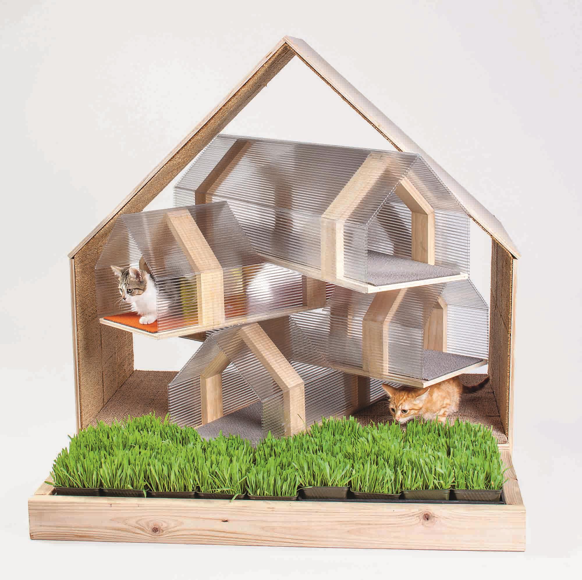 What happens when architects design homes for animals ...