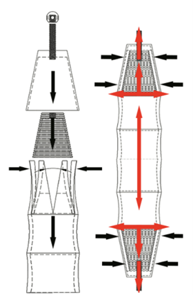Picture1