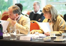 Design review panel