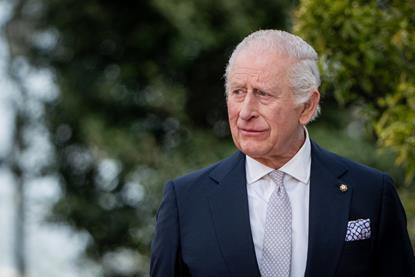 shutterstock_2611049869