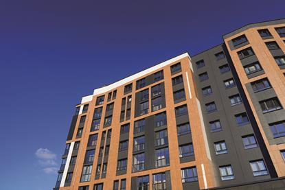 shutterstock_2551171869