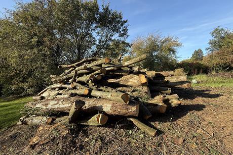 shutterstock_2742175217