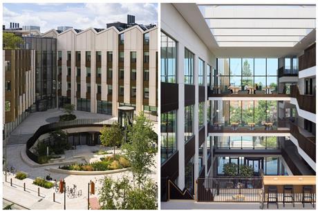 life and mind building