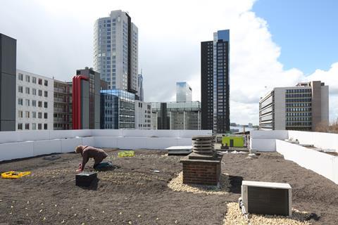 Rooftop Garden on top of the Schieblock. With the help of Rooftop Farmer Annelies Kuipers, fruit and vegetables will grow here, and bees will buzz around their hives.