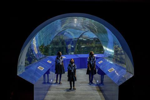 Aquatic Gallery-20