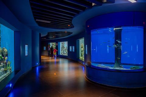Aquatic Gallery-25