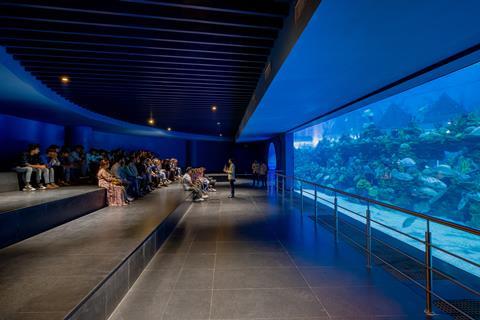 Aquatic Gallery-21