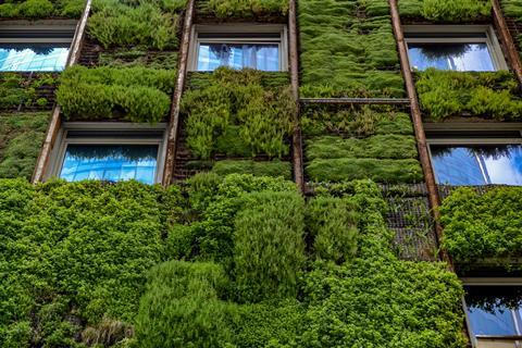 Green wall