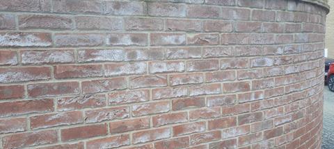 Gypsum efflorescence credit Richard Bossons (3)