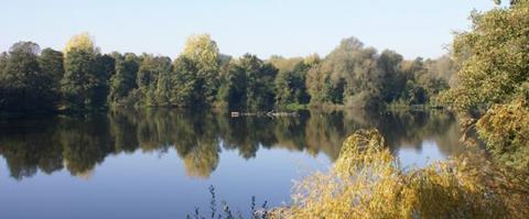 Sevenoaks nature reserve