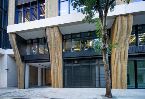 DSC03513-arw_DxO_DeepPRIMEXD-SharpenAI-Standard