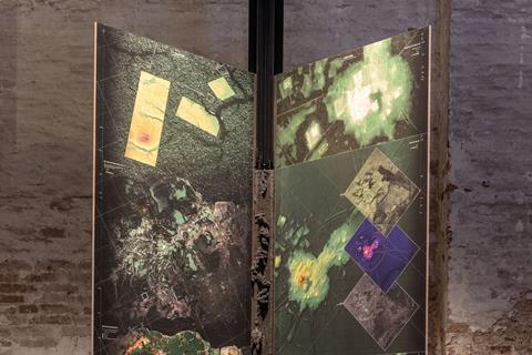 MZO-FOREST GENS-89871