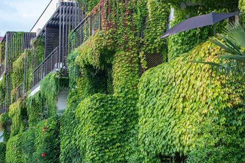 Green wall