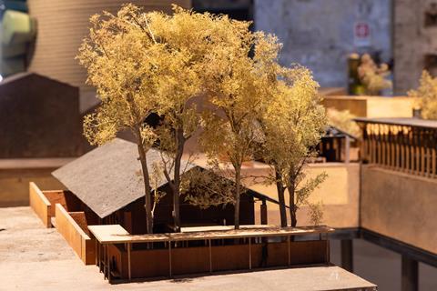 MZO-Revival of Ordinary Trees-0375