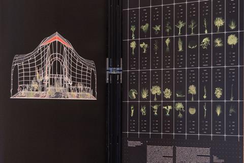 MZO-CONSCRIPTIO-11481