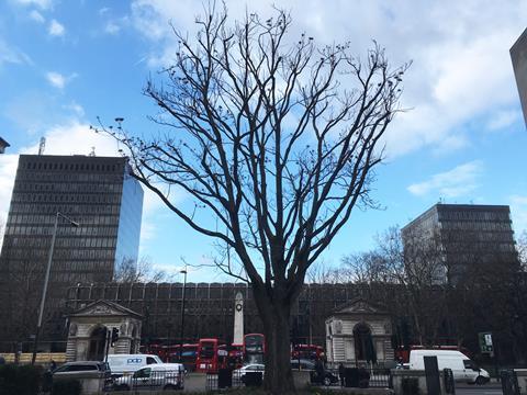 Euston station in feb 2018 elizabeth hopkirk