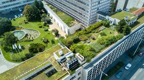 shutterstock green garden rooftop
